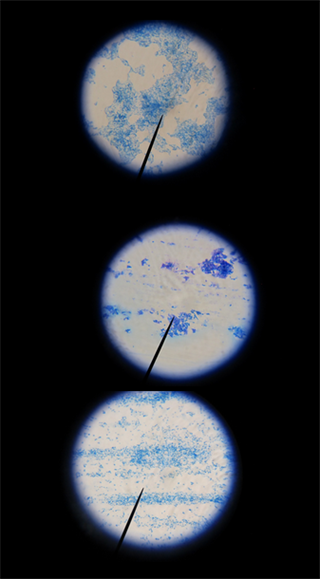 2013_azido 2013_azido