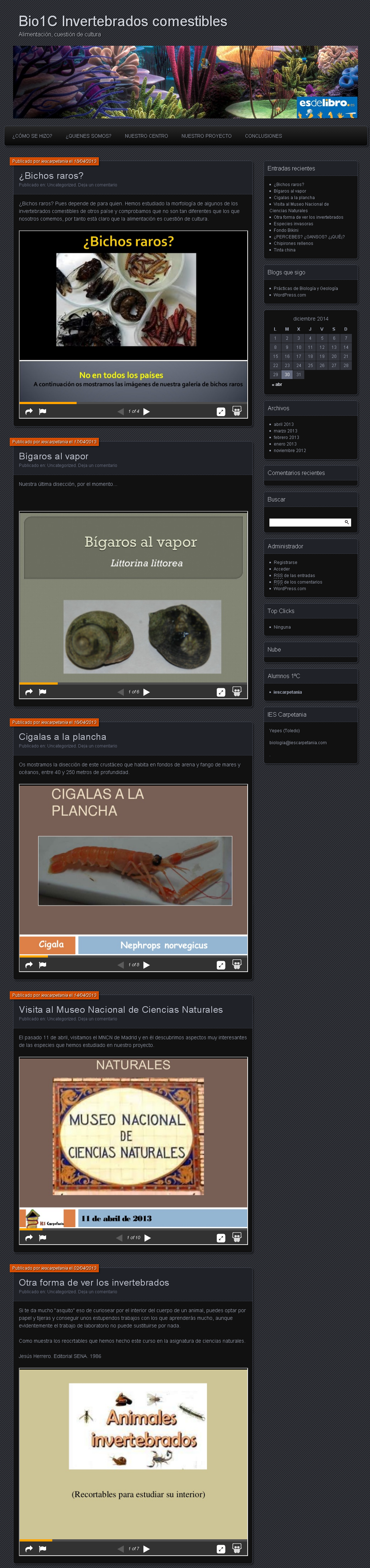 2013_invertebrados