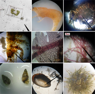 2013_sucesiones 2013_sucesiones