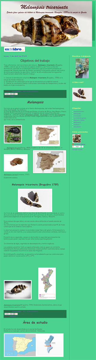 2014_melanopsis 2014_melanopsis