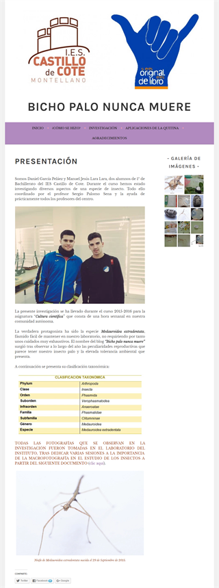 2016_bicho 2016_bicho