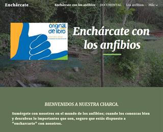 2017_anfibios 2017_anfibios
