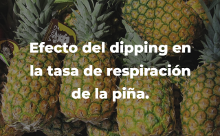 2024_dipping