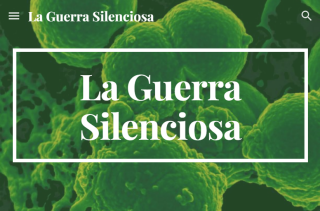 2024_guerra