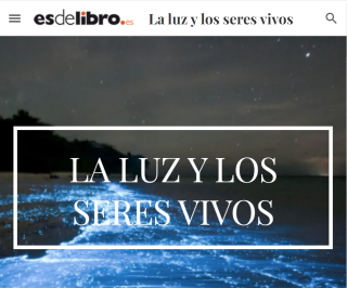 2024_luz
