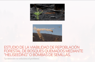2024_repoblacion