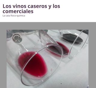 2024_vinos