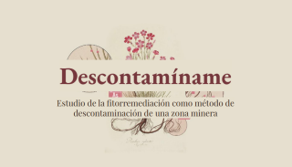 2025_descontaminame
